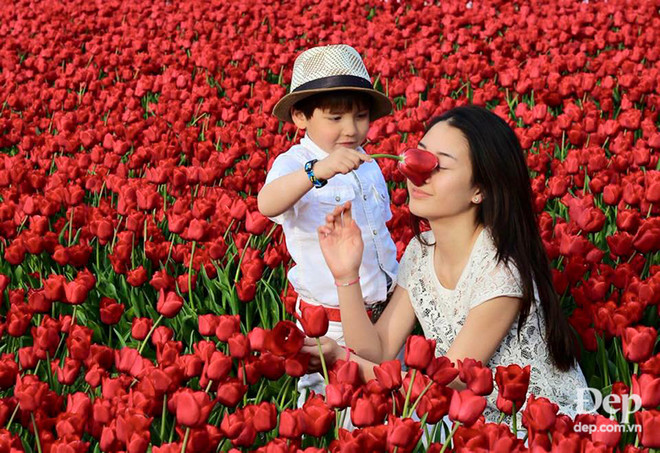 Vào mùa hoa tulip khoe sắc nở rộ, Hà Lan đẹp như tranh vẽ ảnh 10