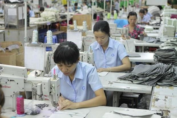Công nhân dệt may. (Ảnh: Thanh Vũ/TTXVN) Việt Nam đã có bước tiến dài trong lĩnh vực bình đẳng giới ảnh 1