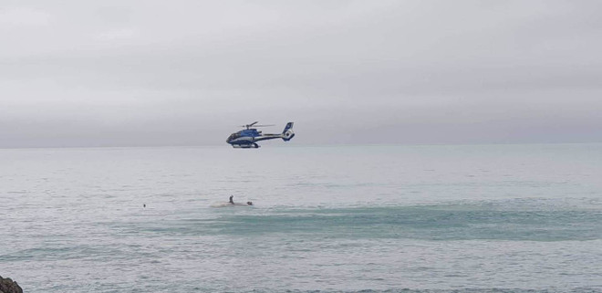 Tàu chở 11 người bị lật ngoài khơi New Zealand do va chạm với cá voi ảnh 1