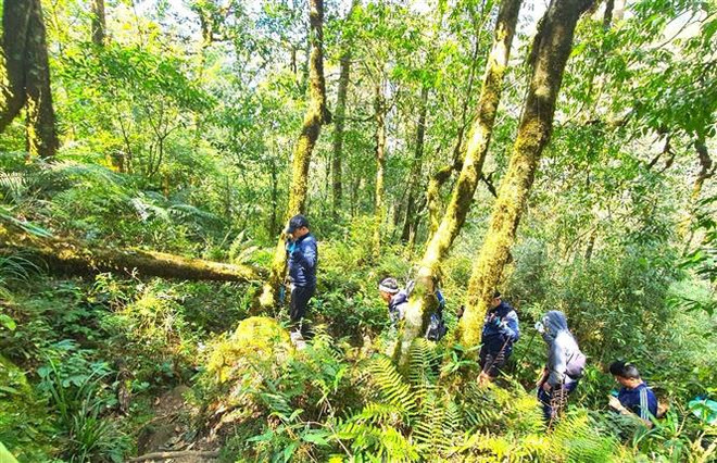 Lai Châu: Lượng du khách, doanh thu từ dịch vụ du lịch tăng dần ảnh 2