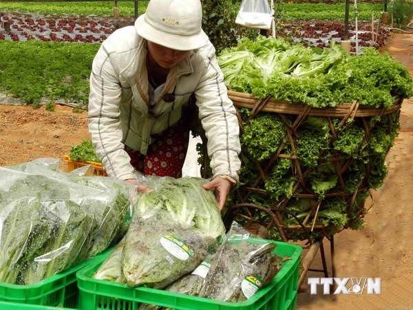 Hàng tiêu dùng vẫn giữ giá dù giá xăng và cước vận tải đã giảm ảnh 1