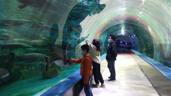 Tín hiệu tốt cho ngành du lịch Hà Nội trong năm mới 2022 ảnh 1