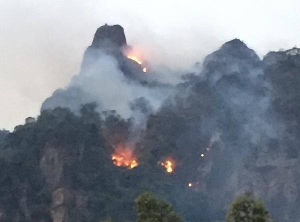 [Video] Cảnh báo nguy cơ cháy rừng cấp độ cực nguy hiểm tại nhiều tỉnh ảnh 1