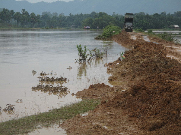 Gần 4km tuyến đê bao ngòi Giành bị tràn nước đang được tỉnh gai cố. (Ảnh: Tạ Toàn/TTXVN) Phú Thọ: Mưa to gió lớn trên diện rộng khiến một người mất tích ảnh 1