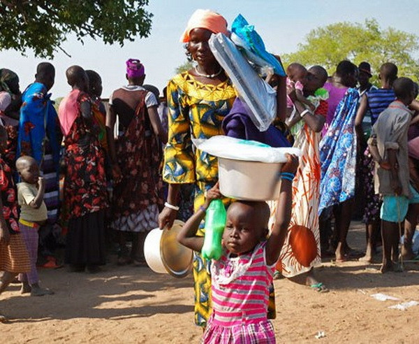 Boko Haram tấn công và bắt cóc thêm nhiều người tại Niger ảnh 1