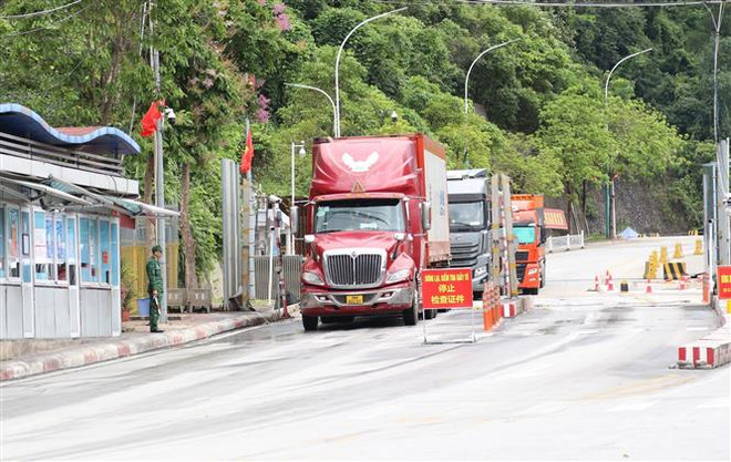 Lạng Sơn: Cửa khẩu Quốc tế Hữu Nghị nhộn nhịp thông quan hàng hóa ảnh 2
