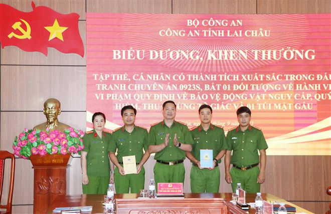 Lai Châu bắt giữ đối tượng mua bán trái phép sừng tê giác, mật gấu ảnh 1