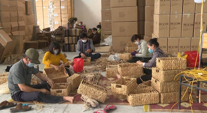 ttxvn-coi kim son2.jpg