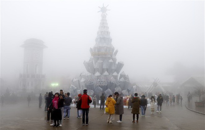 Lào Cai chủ động phòng chống rét cho người, cây trồng và vật nuôi ảnh 1