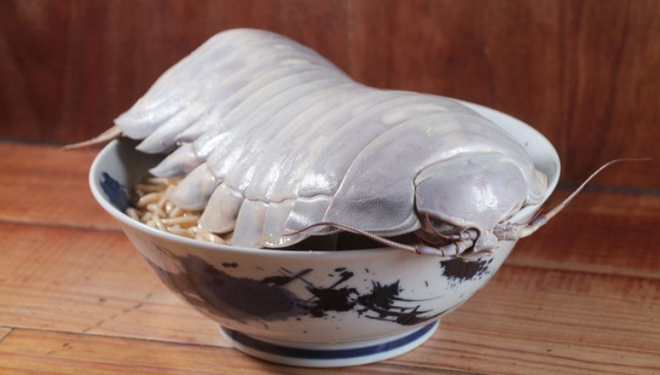 (Nguồn: tvpworld) Thưởng thức món mỳ ramen kết hợp bọ biển khổng lồ 14 chân ảnh 1