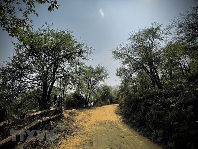 Yên Bái: Khám phá vẻ đẹp hoang sơ của đỉnh Lùng Cúng ảnh 1