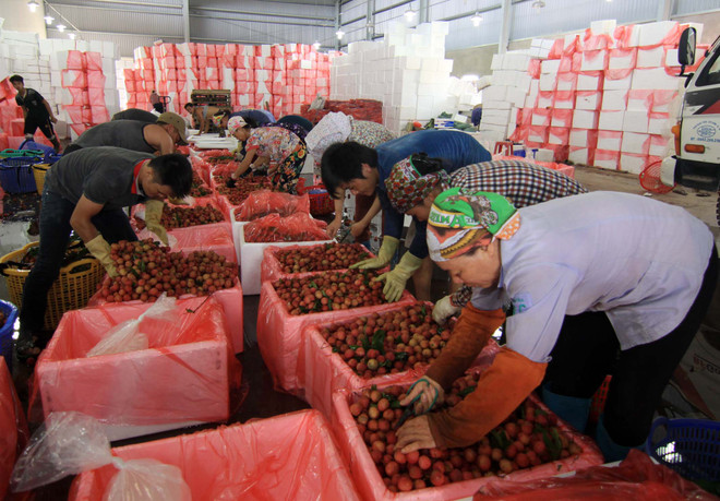 Doanh nghiệp Việt tăng tốc đón đầu FTA với Liên minh Kinh tế Á-Âu ảnh 1