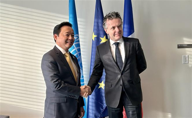 Phó Thủ tướng Trần Hồng Hà tiếp xúc với lãnh đạo các nước và tổ chức ảnh 3