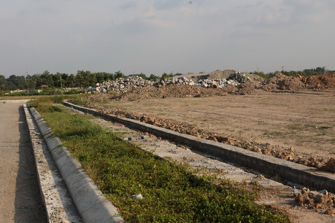 ttxvn-don dien doi thua2.jpg