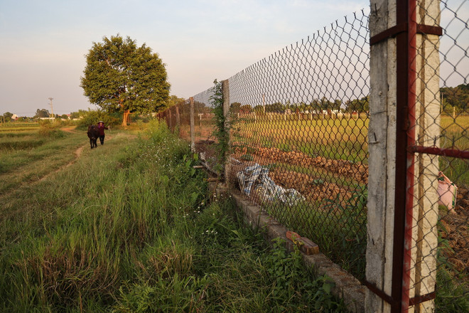 ttxvn-don dien doi thua3.jpg