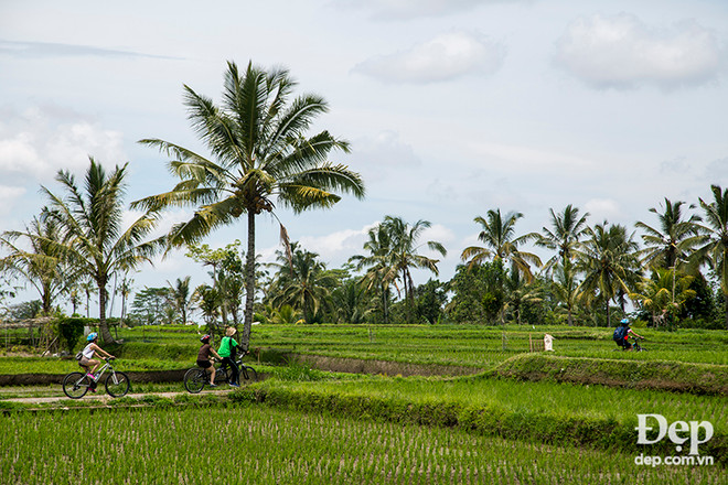 10 điều chắc chắn phải thử khi đi du lịch tới hòn đảo Bali ảnh 12