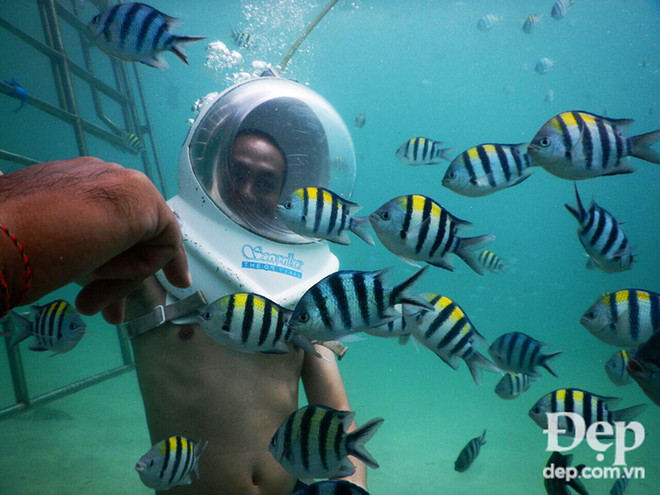 10 điều chắc chắn phải thử khi đi du lịch tới hòn đảo Bali ảnh 8