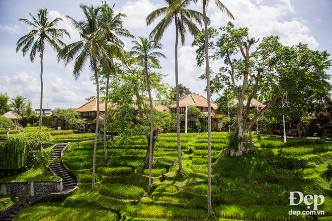 10 điều chắc chắn phải thử khi đi du lịch tới hòn đảo Bali ảnh 22