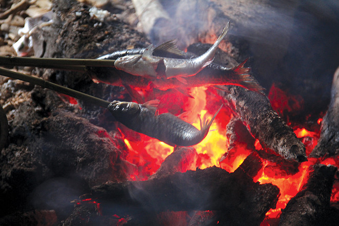 Theo dấu chân đi tìm trầm giữa đại ngàn rừng Trường Sơn ảnh 8