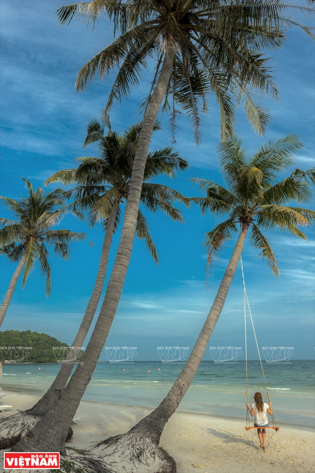 Bãi Sao Phú Quốc - một trong những bãi biển đẹp nhất Việt Nam ảnh 6