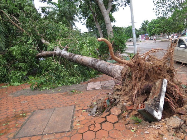 Có thể xuất hiện bão hoặc áp thấp trên Biển Đông trong tháng 12 ảnh 1