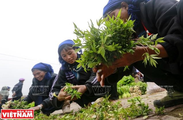 Phiên chợ trong sương độc đáo của người dân tộc ở Ý Tý ảnh 3