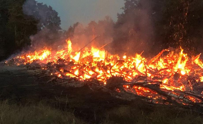 Hà Lan sơ tán khoảng 4.000 người do cháy rừng tại khu bảo tồn ảnh 1