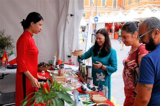 Việt Nam và Italy tăng cường hợp tác về nông sản và gia vị ảnh 3