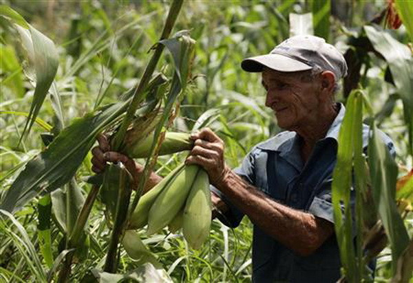 Doanh nghiệp Anh có kế hoạch đầu tư 400 triệu USD vào Cuba ảnh 1