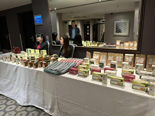 Tỉnh Hòa Bình xúc tiến đầu tư thương mại và du lịch tại Anh ảnh 3