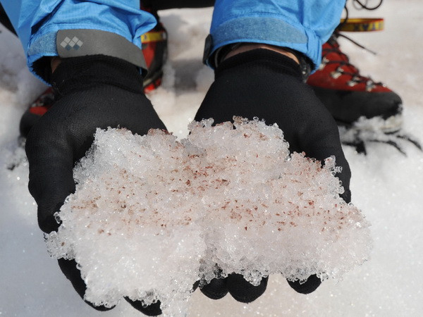 Màu sắc băng Bắc Cực gắn liền với biến đổi khí hậu ảnh 1