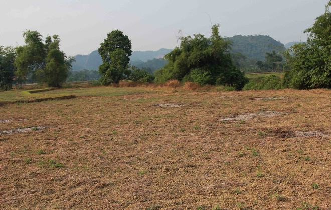 Tác động của El Nino khiến hạn hán còn kéo dài tại Trung Bộ ảnh 1