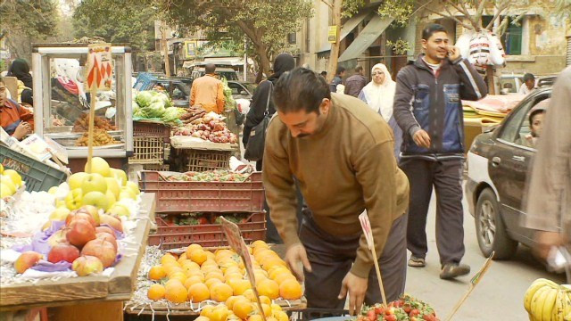 Ai Cập thu hút được khoảng 60 tỷ USD đầu tư vào khu vực tư nhân ảnh 1