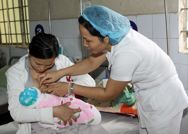 Khai trương Ngân hàng sữa mẹ thí điểm đầu tiên tại Việt Nam ảnh 1