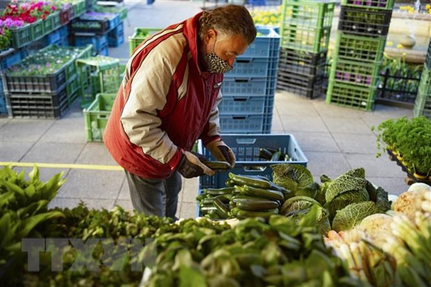 Kinh tế Séc chính thức bước vào thời kỳ suy thoái kỹ thuật ảnh 1