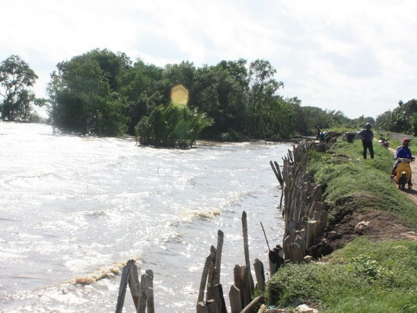 Cảnh báo vùng Đồng bằng sông Cửu Long có thể chìm hoàn toàn ảnh 1