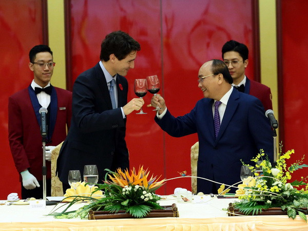 Tiếp tục đà phát triển quan hệ Đối tác toàn diện Việt Nam-Canada ảnh 1