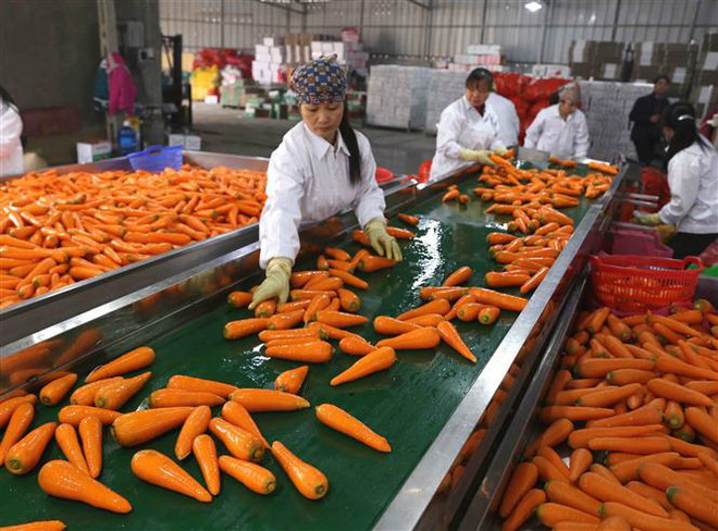 Gia tăng xuất khẩu vào Trung Quốc là ''con dao hai lưỡi'' ảnh 1