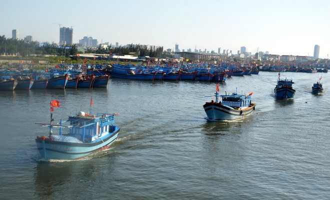 Ngư dân miền Trung tấp nập vươn khơi ngày đầu năm mới ảnh 1