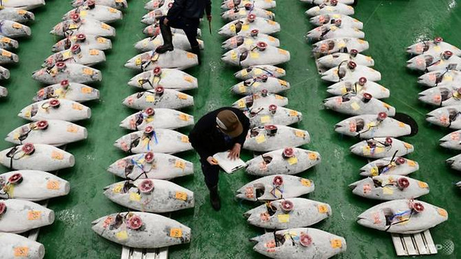Nhật Bản phá chợ cá nổi tiếng Tsukiji để xây trung tâm hội nghị ảnh 1