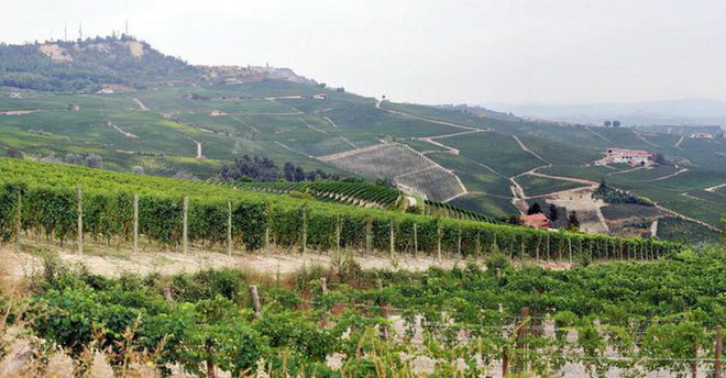 Diện tích đất nông nghiệp tại Italy đang ngày càng bị thu hẹp ảnh 1