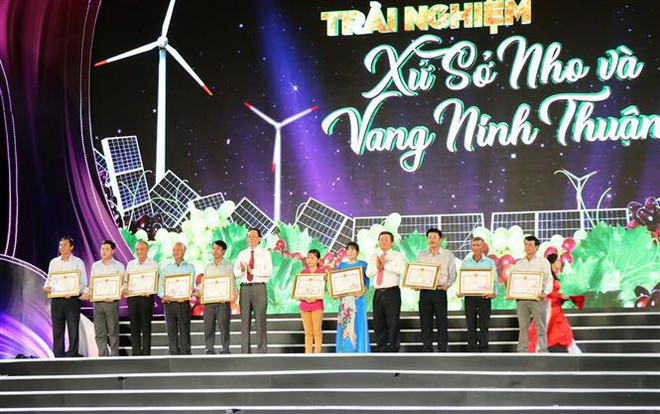 Ủy ban Nhân dân tỉnh tặng bằng khen cho người trồng nho và các chủ cơ sở sản xuất, kinh doanh, chế biến sản phẩm nho. (Ảnh: Công Thử/TTXVN) Phó Thủ tướng Vũ Đức Đam dự khai mạc lễ hội Nho và Vang Ninh Thuận ảnh 2