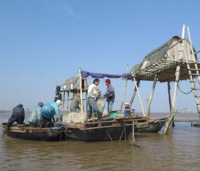 Đã tìm thấy một nạn nhân tử vong do lật thuyền khai thác ngao ảnh 1