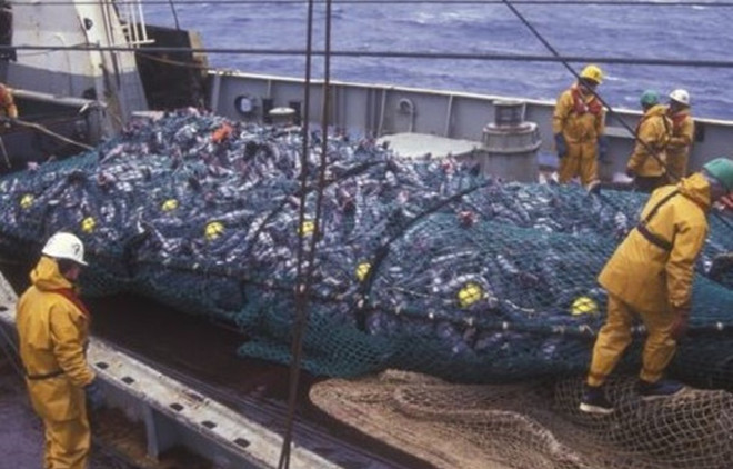 Nhật Bản gửi văn bản chấp thuận Hiệp định về trợ cấp nghề cá ảnh 1