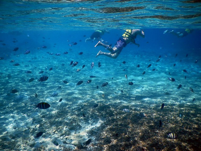 13 lý do bạn phải đến Terengganu ở Malaysia bất chấp thời điểm ảnh 11