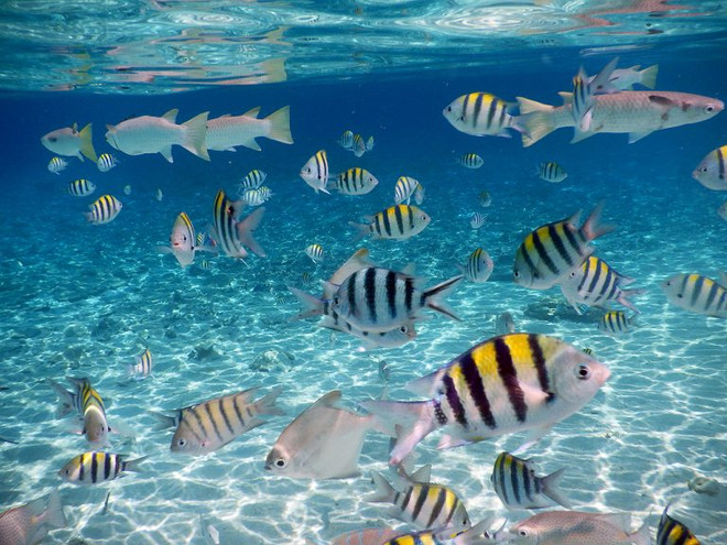 13 lý do bạn phải đến Terengganu ở Malaysia bất chấp thời điểm ảnh 1