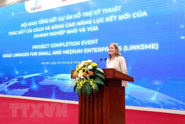 Dự án USAID LinkSME hỗ trợ doanh nghiệp nhỏ và vừa của Việt Nam ảnh 2