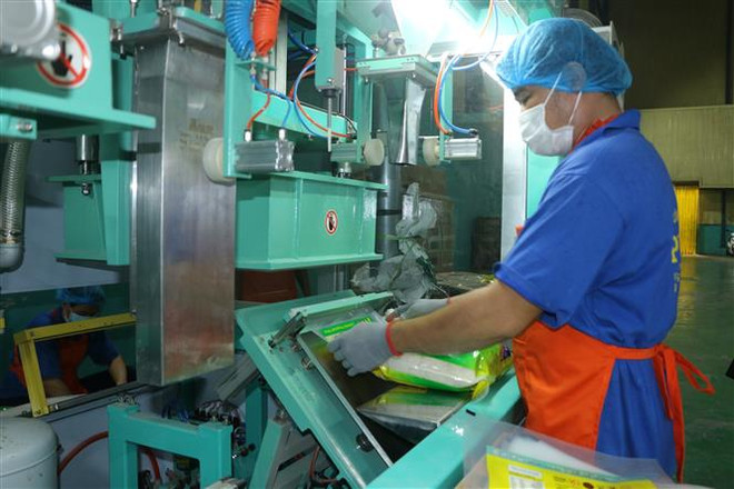 Thủ tướng: Chủ động điều tiết sản xuất, kinh doanh, xuất khẩu gạo ảnh 1