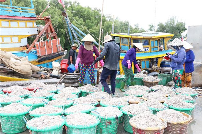 Tiền Giang nâng cao nhận thức về chống khai thác IUU cho ngư dân ảnh 1