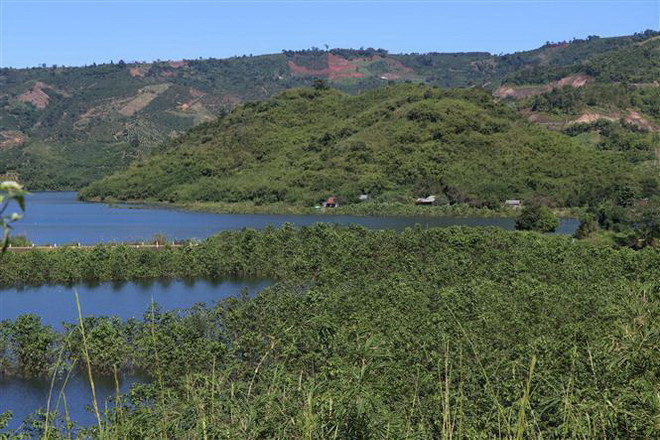 Công tác quản lý, bảo vệ rừng tại Đắk Nông vẫn còn nhiều khó khăn ảnh 2